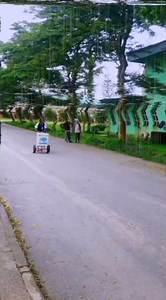 Please my fans and fam watch and follow his page @Mr B Po Diz | Egyptian Cairo