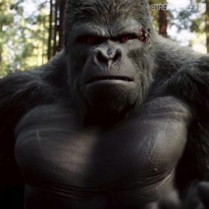 1.9M views · 59K reactions | It's Grodd  Stream a new episode of #TheFlash free only on The CW: go.cwtv.com/streamFLAfb | The Flash | Facebook