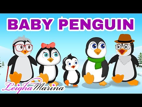 Baby penguin song for kids | penguin family cartoon | Leigha Marina
