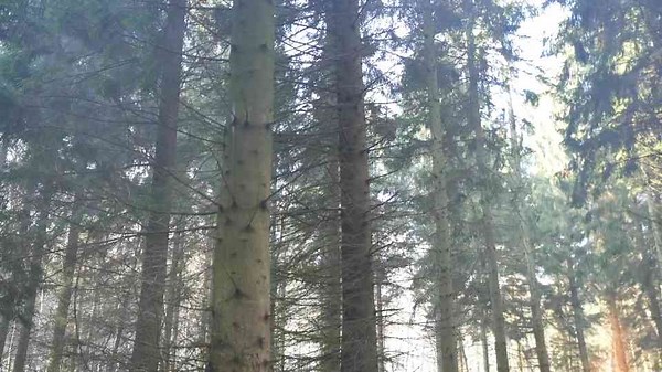 FIRE Con Beans in the K8 Dutch Oven – Cooked Over the Fire 