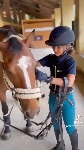 2.1K views · 19 reactions | A typical stable day with @carolina_fenocchio  #horse #pariani #parianiteam #equestrianlife #horseriding | Selleria Pariani | Facebook