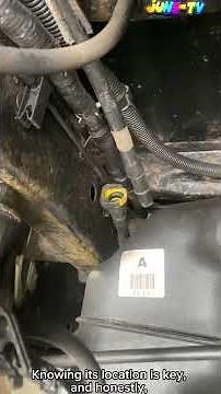 Ford F150-fuel pump driver module replacement📚