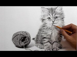 Рисунок кота карандашом - ускоренное видео.