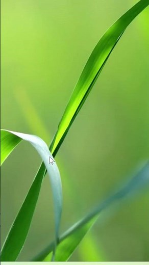 Uninstall product key #windows11