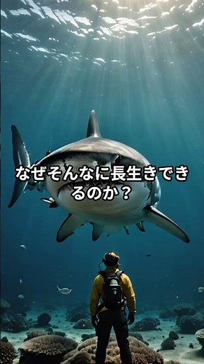 サメの種類によっては、100年以上生きる個体もいる #サメ雑学 #ニシオンデンザメ #長寿生物 #動物トリビア #バズ雑学