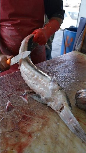 Starry Sturgeon Masterclass — Clean Cuts, Great Grill