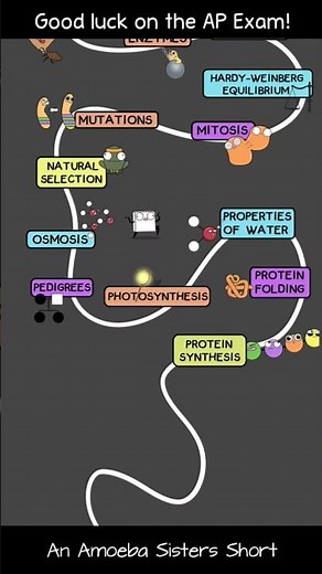 Amoeba Sisters AP Bio Test Pep Talk #apbio #apbiology