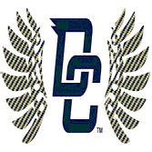 Football Recap: Decatur Central Falls Short of Brownsburg in the Playoffs