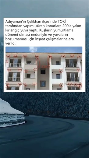 #reelsinstagram #tiktok #shorts #youtube #youtuber #vlog #blog #blogger #influencer #fenomen #style