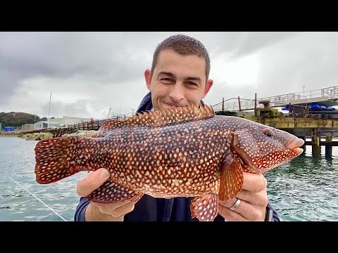 Winter Mixed Boat Fishing with Underwater footage - UK Sea Fishing 2021