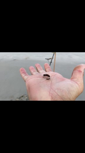 Metal detecting is the best job in the world #post #lost #detecting #beach #ckg #scoop #digging #silver | Joe Digger