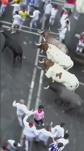 Fastest bull run at San Fermin