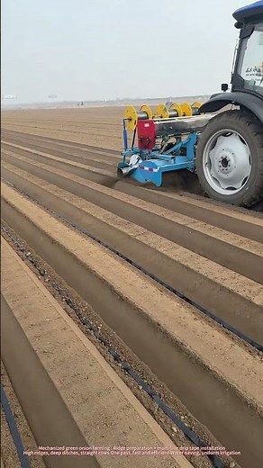 How Farmers Plant Green Onions at Scale | Ridge + Drip Irrigation​