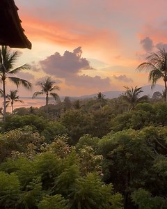 Mady Morrison - Yoga Lifestyle on Reels