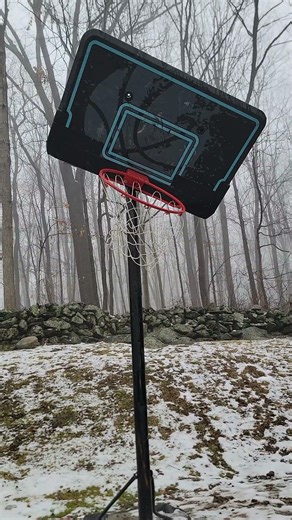 Using an EXTENSION LADDER as a BASKETBALL #comedy #shorts