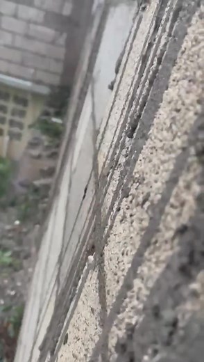 Good heavens, Melissa mistreated us! During my childhood, my grandmother would recount the story of storm Charlie, which occurred in 1951. It resulted in more than 150 fatalities, wreaking havoc on our country 😢. Jamaicans will rebound. Jamaica strong 💪 🙏🙏 | Paulet Cameron