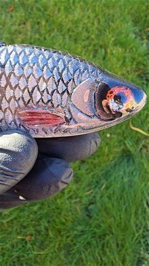 #handmade #fishing #lure #lurefishing #alien_predator_lures