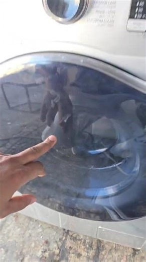 Samsung wash machine