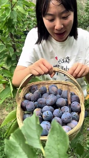 45K views · 1.1K reactions | Sweet treats from the orchard  #fruitlover #fruits #nature #farmlife #fruitpicking | Fruit Farm | Facebook