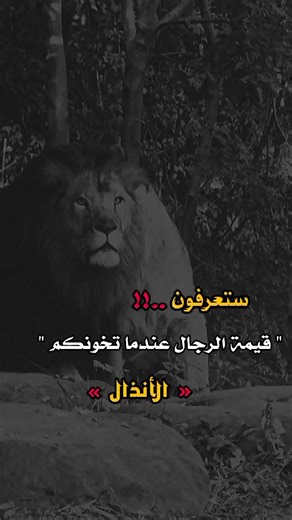 ‏#مساء_الخير #اكسبلور #o