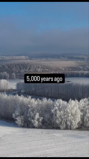 This circular sanctuary lies not far from the Ural Mountains in Russia. Two more structures of the same type have been found nearby. Strikingly, they resemble the rondels of Central Europe and the later British monument known as Woodhenge. What exactly is this site and how did such architectural and symbolic knowledge spread so far? Let’s break it down. The sanctuary was built around 3000 BCE and was in use for only about 500 years. It sits on a slight rise overlooking a bend in a nearby river, 