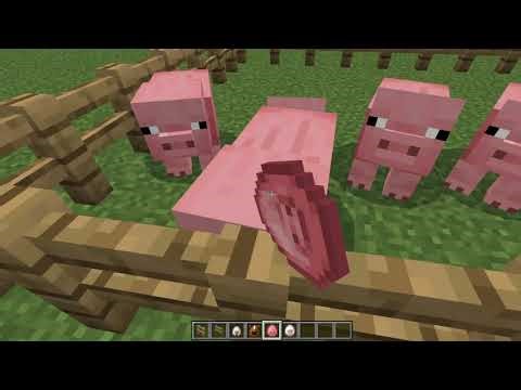 Minecraft Tutorial how to a farm