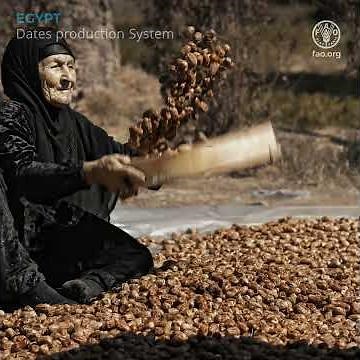 Discover FAO's Globally Important Agricultural Heritage Systems