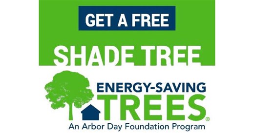 Reservations open for free tree program