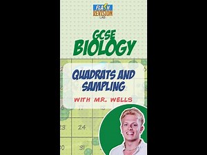 GCSE Biology Paper 2: FRL x Mr. Wells | Quadrats & Sampling Required Practical
