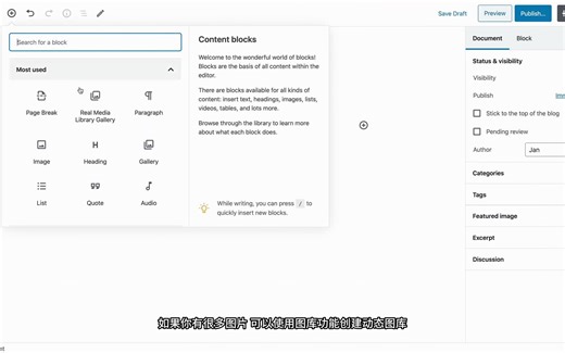 [汉化] Real Media Library 媒体类别/文件夹文件管理器wordpress插件