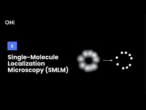 What is Single-Molecule Localization Microscopy (SMLM)?