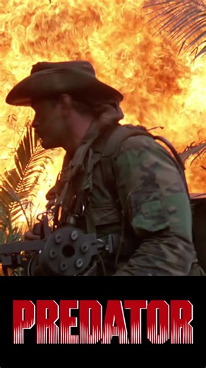 Facts you didn’t know about Predator #moviefacts #movietok #predator #80smovies #arnoldschwarzenegger