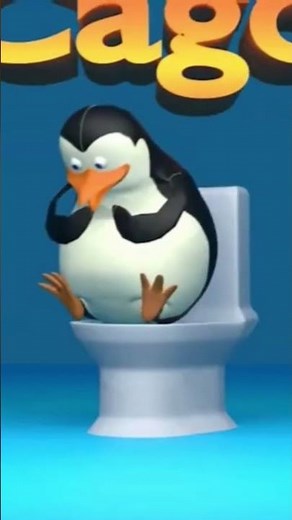 los pingüinos me la van a mascar #humor #memes #ㅇyㅇ #comedia