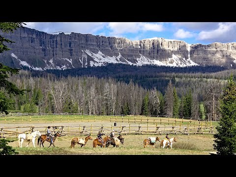 Shoshone National Forest Wyoming: Authentic Old West Experience 4K Video
