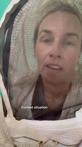 Saving bees in sweltering heat 🔥 | How’s Your Day Honey