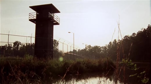 The Walking Dead Inspired Merchandise Available