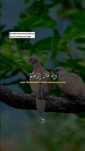 Surah Al-Baqarah 2:260 | Shaikh Muhammad Dibirov ‪@FaithfulPath99‬