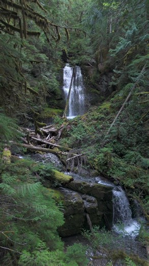 Experience the Serenity of Lower Parker Falls