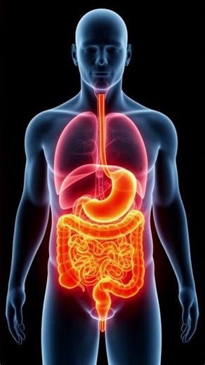 3 Shocking Signs Your Stomach Isn’t Digesting Food Properly