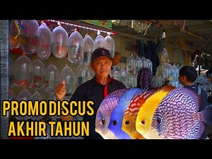 Discus Fish Price Update! End of 2025! Parung Ornamental Fish Market