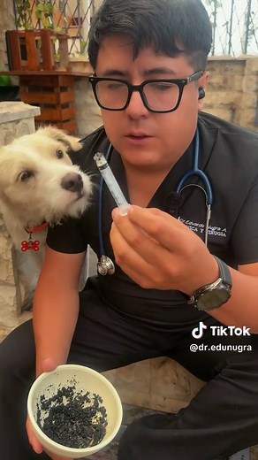Con esta tortilla podrías salvar la vida de tu mascota… #PerritosCallejeros #Veterinario #tipsveterinarios #mascotas