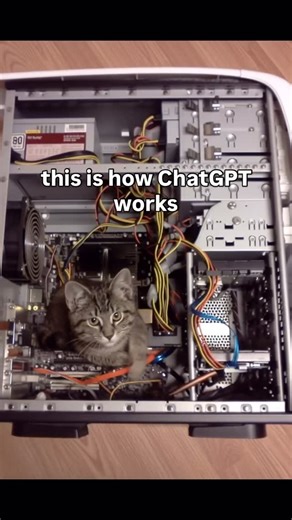 the computer is off don’t worry! | Soft Cat Memes