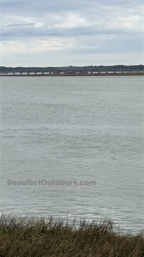 Technical College of The Lowcountry Beaufort South Carolina walk behind the school looking at Woods Bridge, Marina and the Sand Bar #BeaufortSC #beaufort #relax #fishing #outdoors #motivation #beach #TCL | Beaufort Outdoors