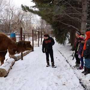 Don’t spend your winter break stuck inside. Get out and enjoy the sights and sounds of the zoo and all of Tautphaus Park in winter. You won’t believe what we find! Are your kids registered for zoo winter camps yet? Sign up today! | Idaho Falls Zoo