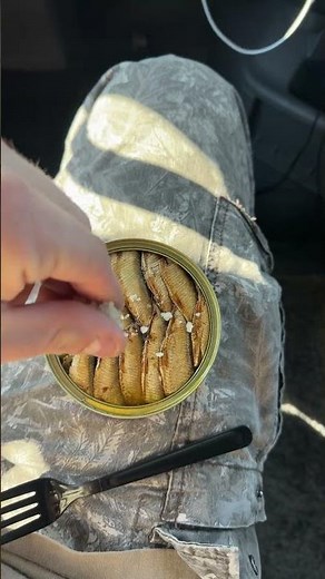 Sardines in olive oil