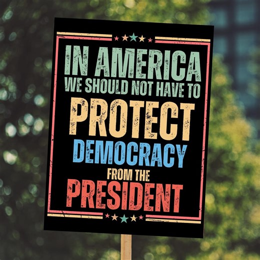 Protect Democracy Protest Sign | Political Activist Poster, Rally Sign, No Kings Protest Sign, Anti-trump, Democrat Sign - Etsy