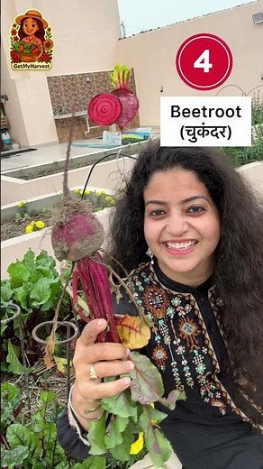 10 Best Veges & Flowers for September | Last wala miss mat karna! 🌸✨