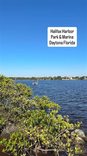 Relax and take in the peaceful waterfront views at Halifax Harbor Park — a perfect Daytona spot for a quiet walk, boating, or simply watching the sunset over the marina. 🌅⚓ #HalifaxHarborPark #DaytonaBeach #FloridaCoast #WaterfrontViews #MarinaLife #FloridaParks #CoastalVibes #VisitDaytona #NatureAndSea | HotelsEscape