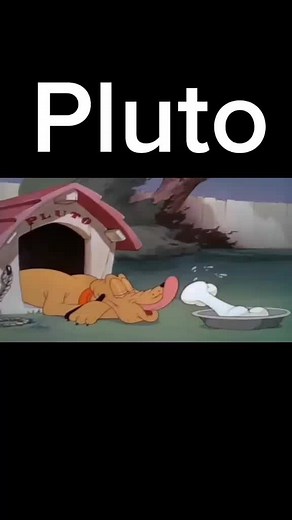 Adventures of Pluto the Animated Dog