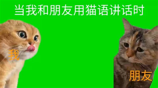 VID_20260501155341652